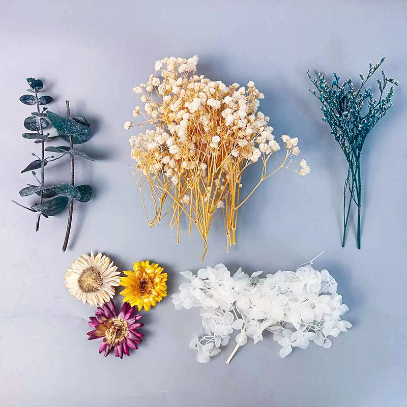 Juego de flores secas múltiple - Craft Embellishment reseña y precio