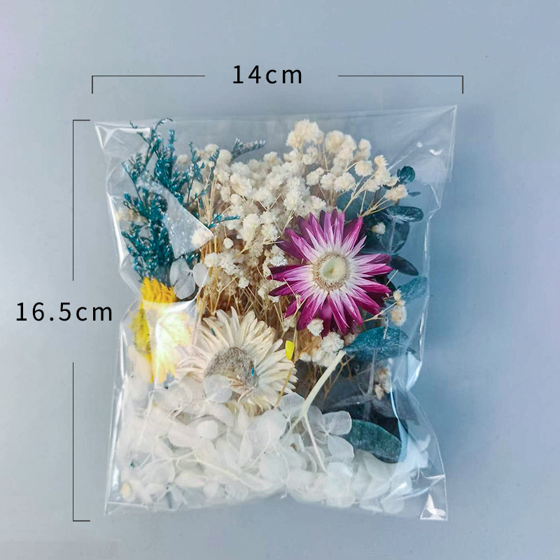 Juego de flores secas múltiple - Craft Embellishment reseña y precio