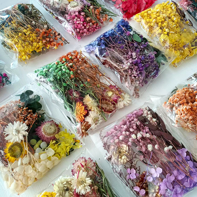 Juego de flores secas múltiple - Craft Embellishment reseña y precio
