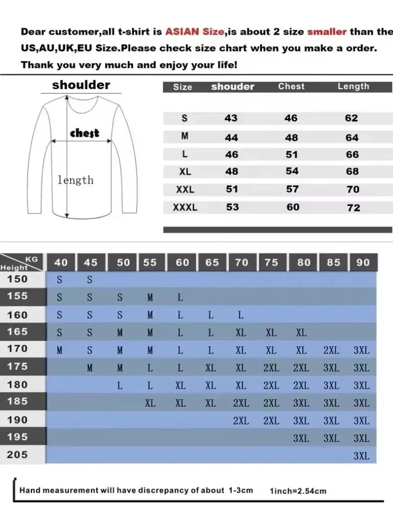 Camiseta de Manga Larga Raglán - Embellish Knit reseña y precio